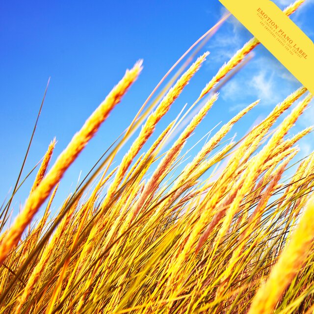 New Age Piano Music Listening To The Autumn Wind