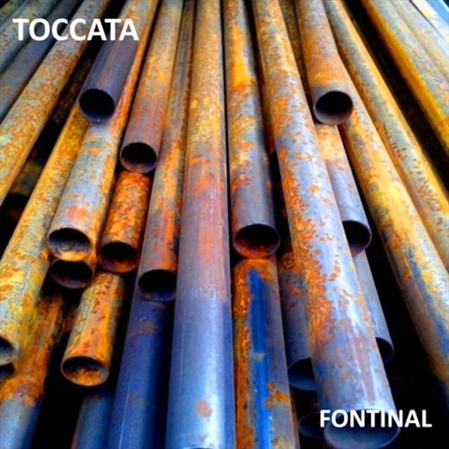 Toccata in D Minor, Bwv 565