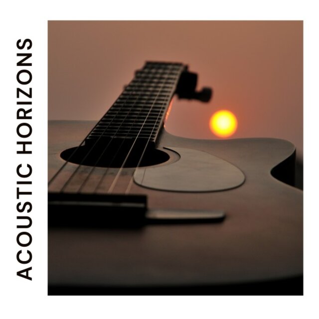 Acoustic Horizons
