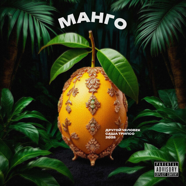 манго