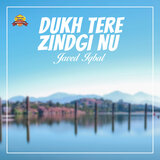 Dukh Tere Zindgi Nu