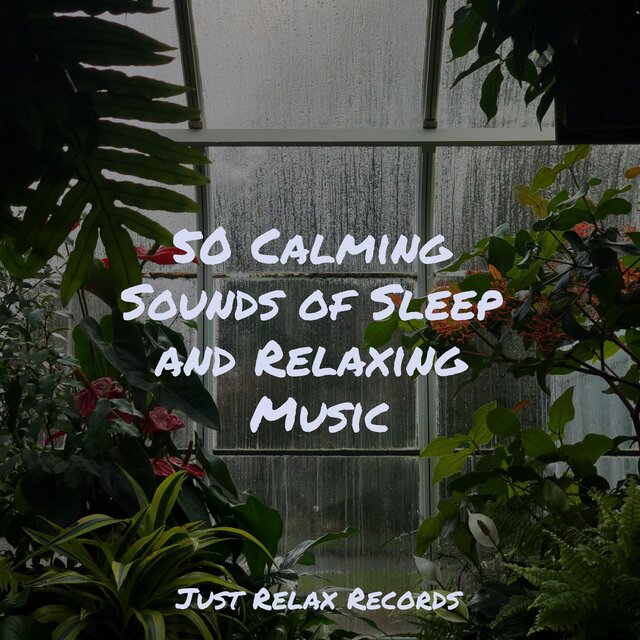 50 Calming Sounds of Sleep and Relaxing Music