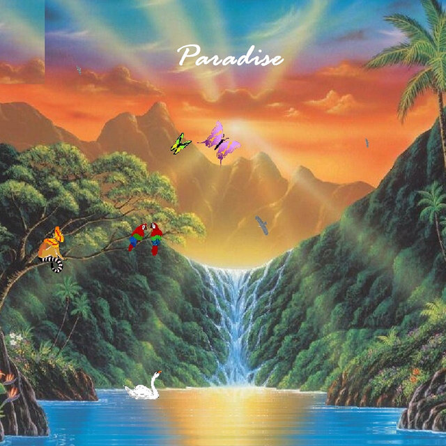 Paradise