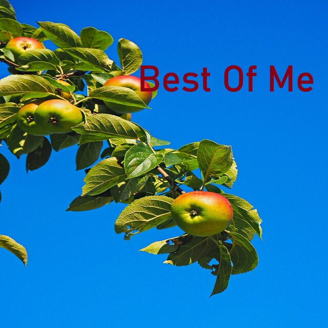 Best of Me