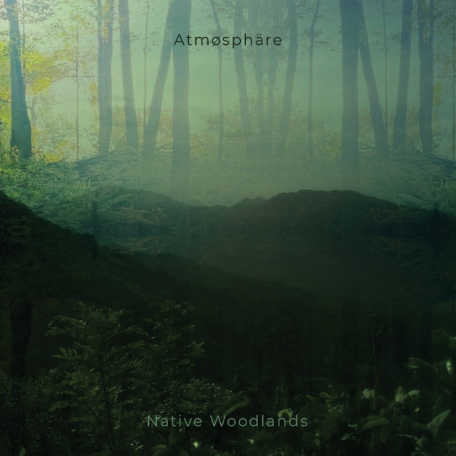 Native Woodlands
