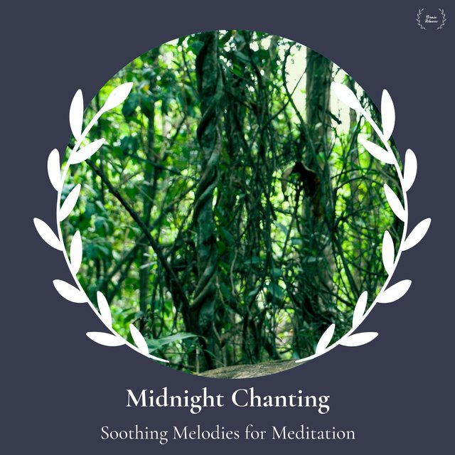 Midnight Chanting - Soothing Melodies For Meditation