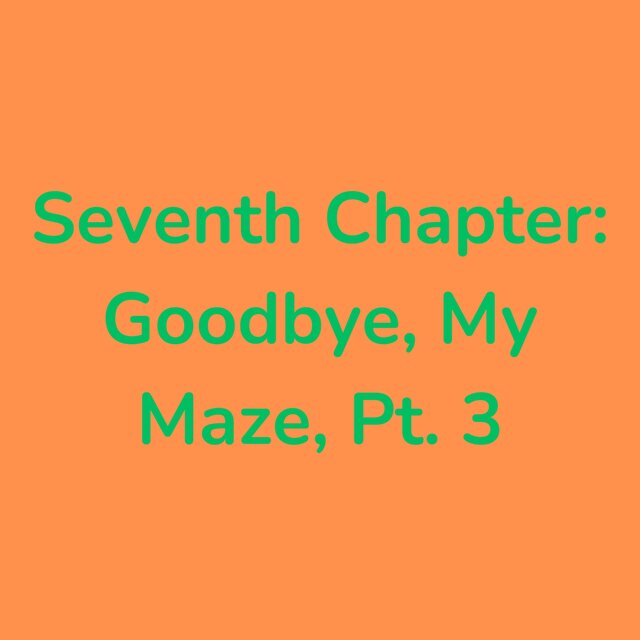 Seventh Chapter: Goodbye, My Maze, Pt. 3