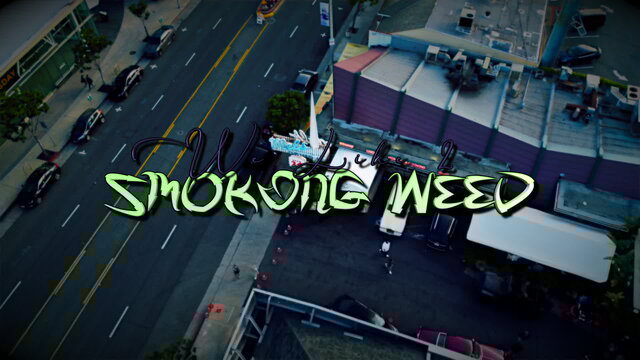 We Like 2 Smoke Weed (Official Video)
