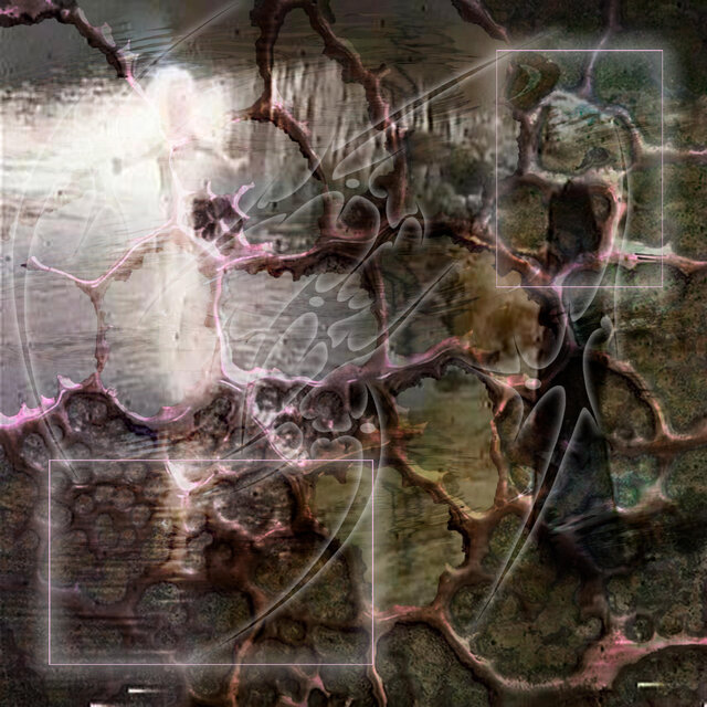 The Seed of Chaos Trilogy (TSCT)