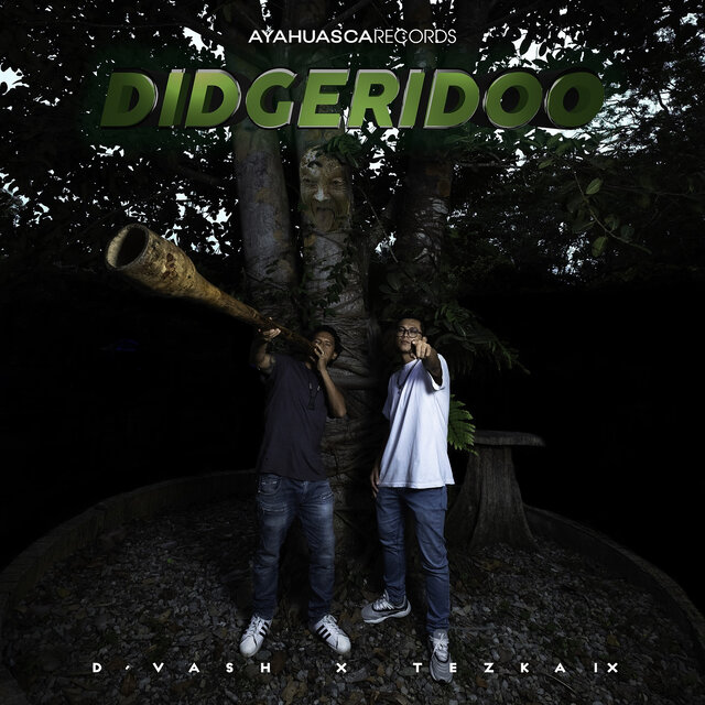Didgeridoo
