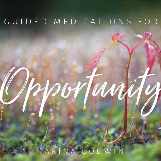 Guided Meditations for Opportunity