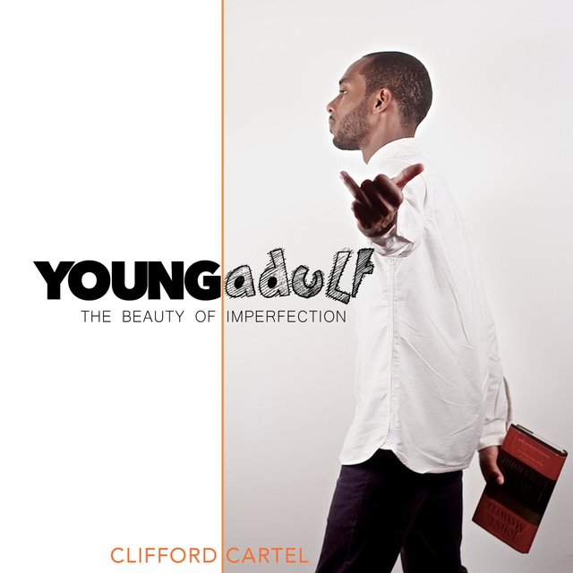 Young Adult: the Beauty of Imperfection