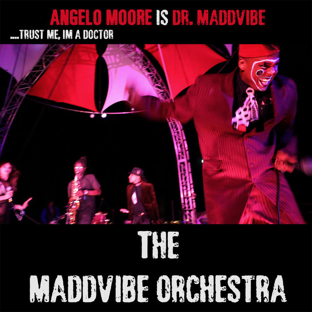 The Maddvibe Orchestra
