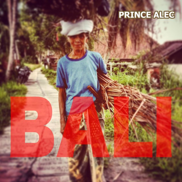 Bali the Last Ricefield in Ubut
