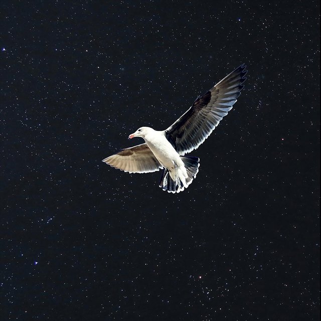 La Noche