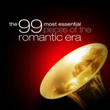 Cello Concerto in B Minor, Op. 104: II. Adagio ma non troppo