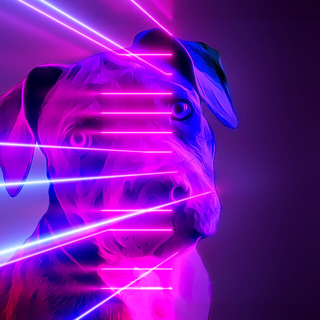 Neon Dreamer