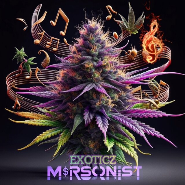 ExoticZ (Instrumental Version)