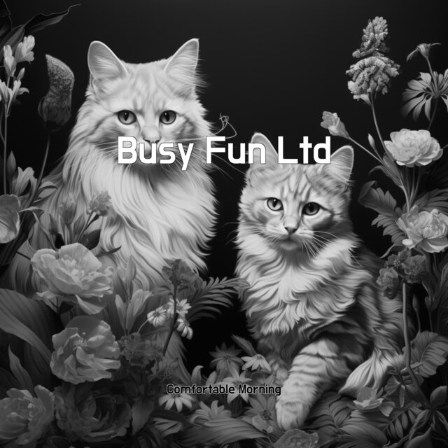 Busy Fun Ltd