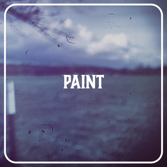 Paint