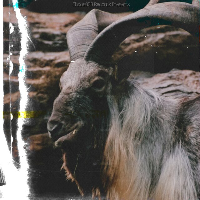 Goat Vol 1