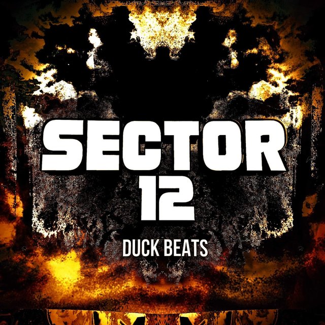 Sector 12