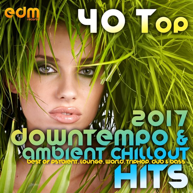 40 Top Downtempo & Ambient Chillout Hits 2017 (Best Of Psybient, Lounge, World, TripHop, Dub & Bass)
