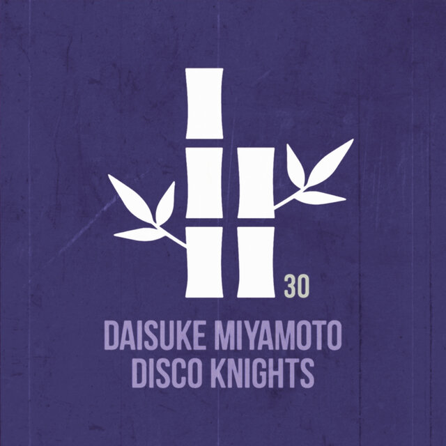 Disco Knights