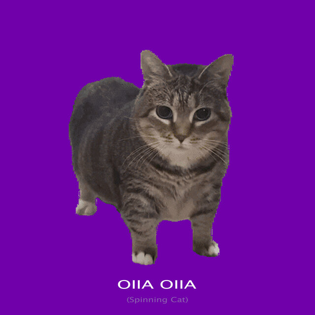 OIIA OIIA (Spinnin Cat Techno)