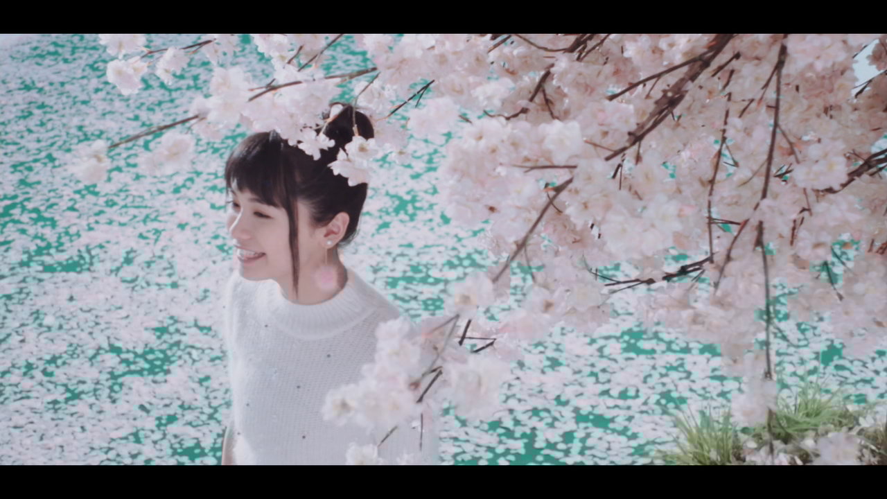 Sakura Yell