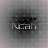 Tangible Noah