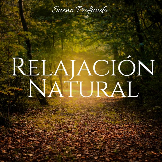 Relajación Natural - Sueño Profundo, Música Relajante, Sonidos de la Naturaleza, Meditación y Descanso