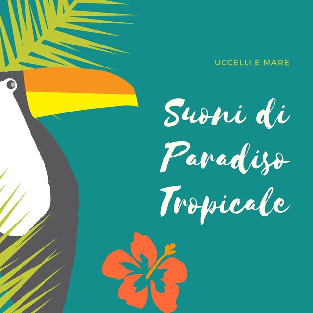 Suoni di paradiso tropicale: Musica con suono della natura dei tropici, uccelli e mare