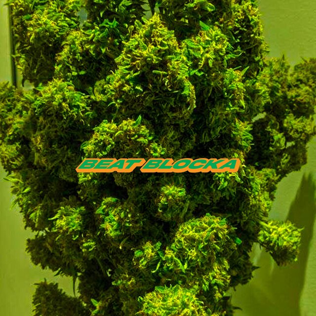 BEAT BLOCKA