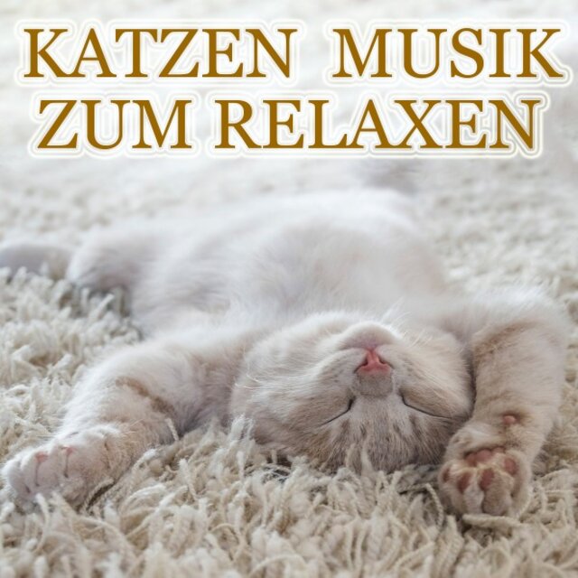 Katzen Musik zum Relaxen