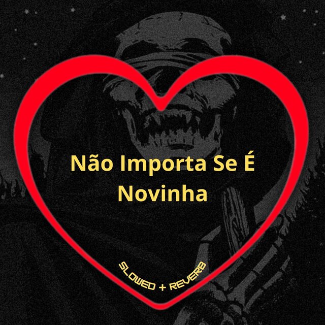 Não Importa Se É Novinha (Slowed + Reverb)