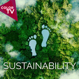 Critical Sustainability