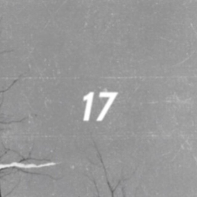 17