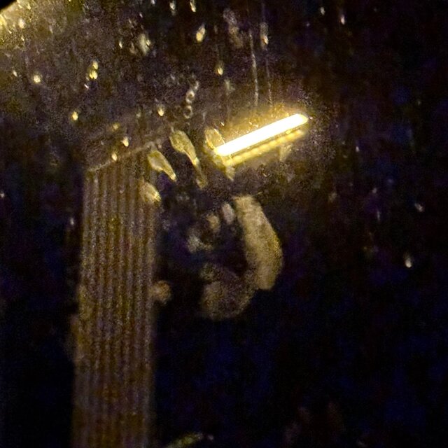 storm
