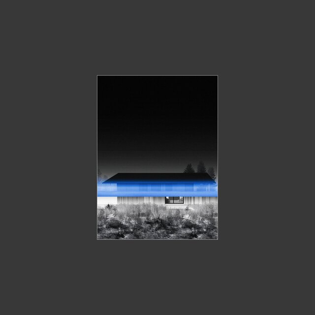 Sensorial Field