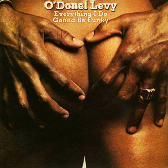 Everything I Do Gonna Be Funky (2024 Remastered Version)
