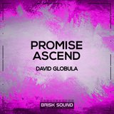 Promise
