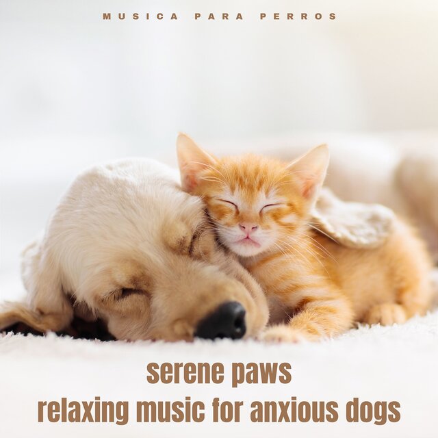 Serene Paws
