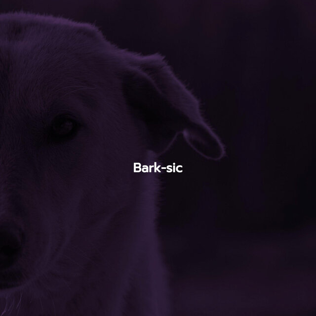 Bark-sic