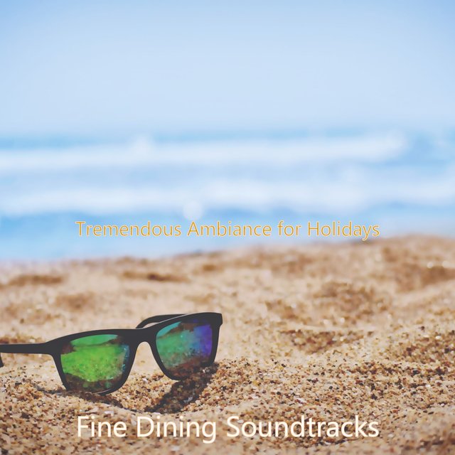 Tremendous Ambiance for Holidays