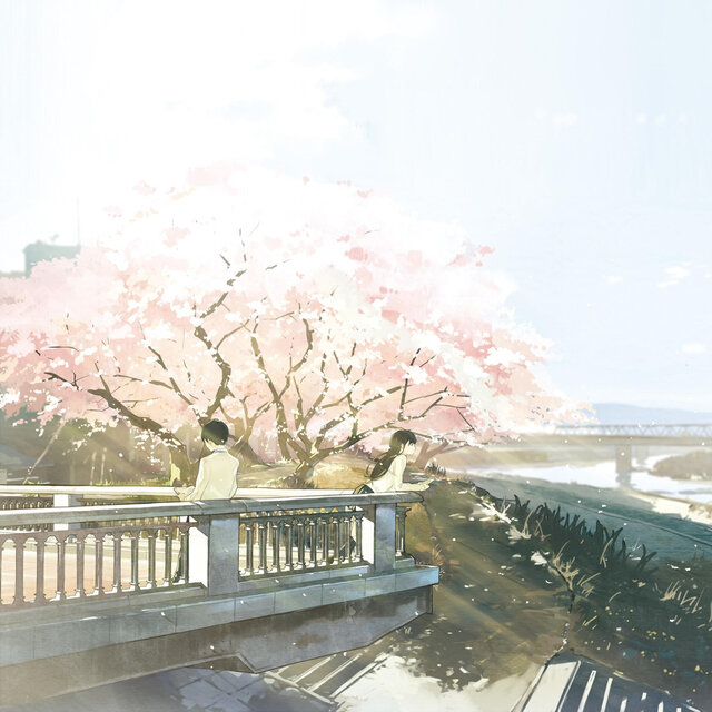 樱の回忆
