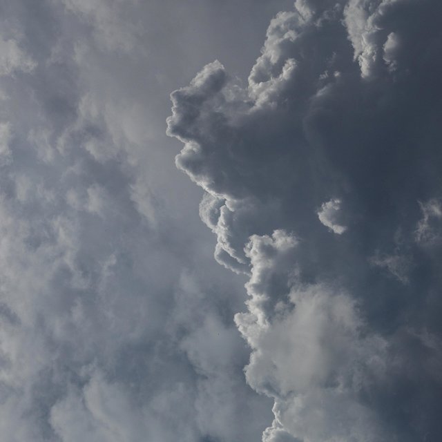 Storm Leap