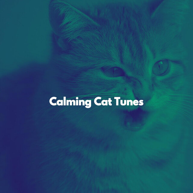 Calming Cat Tunes