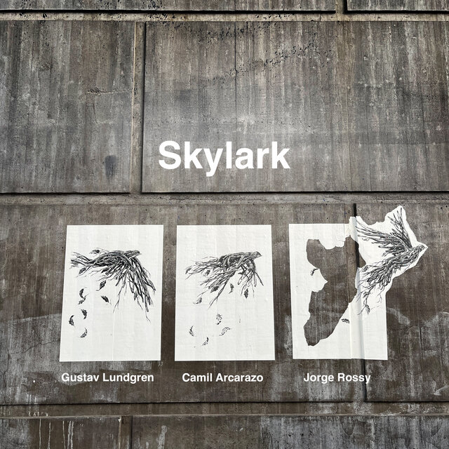 Skylark (Live)