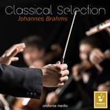 21 Hungarian Dances (Orchestra), WoO 1: No. 1, Allegro molto